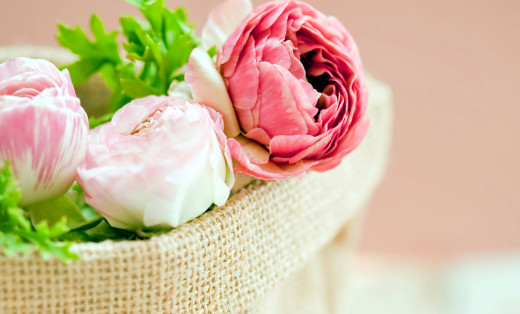 794593 (a): :2650x1600